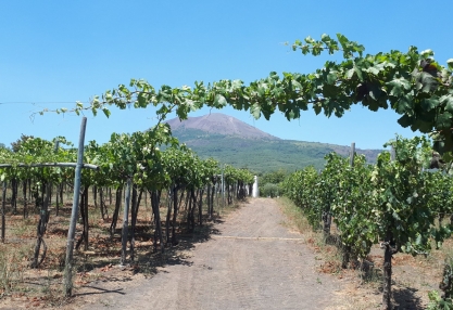 Vino e Vesuvio: dalle ville rustiche romane alle cantine di oggi